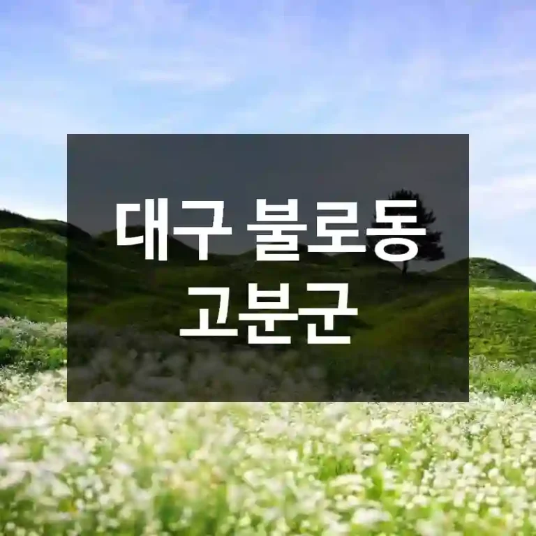 대구 불로동 고분군