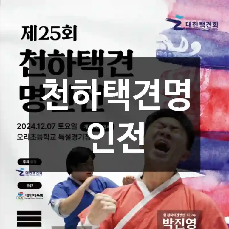 천하택견명인전