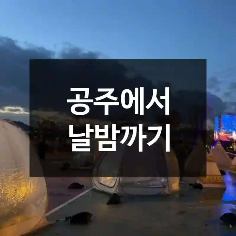 공주에서 날밤까기