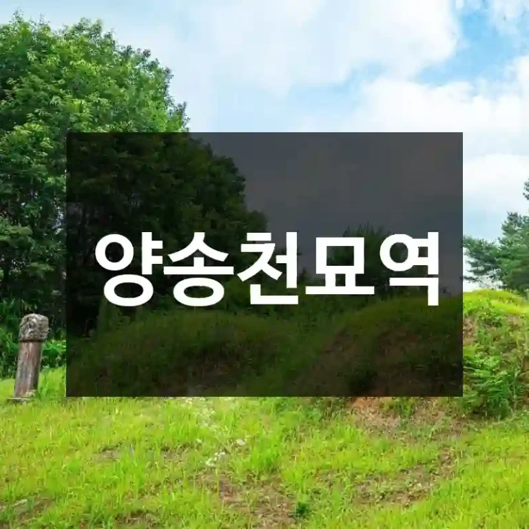 양송천묘역