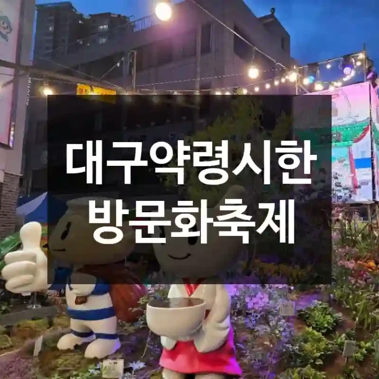 대구약령시한방문화축제