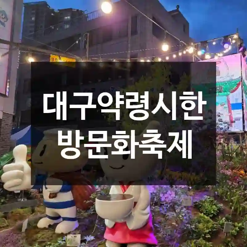 대구약령시한방문화축제