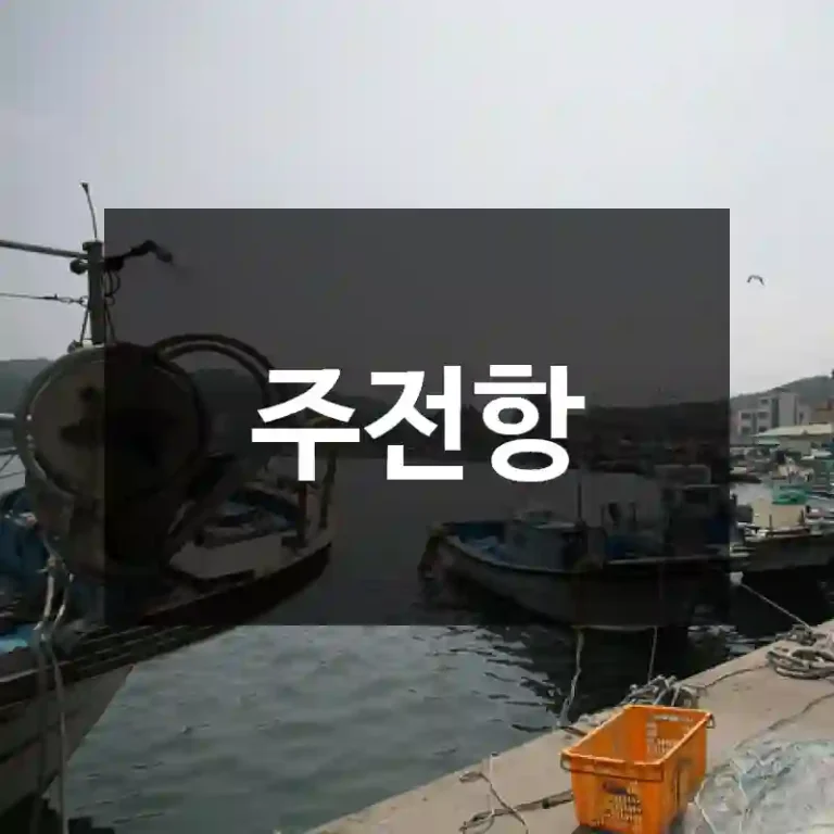 주전항
