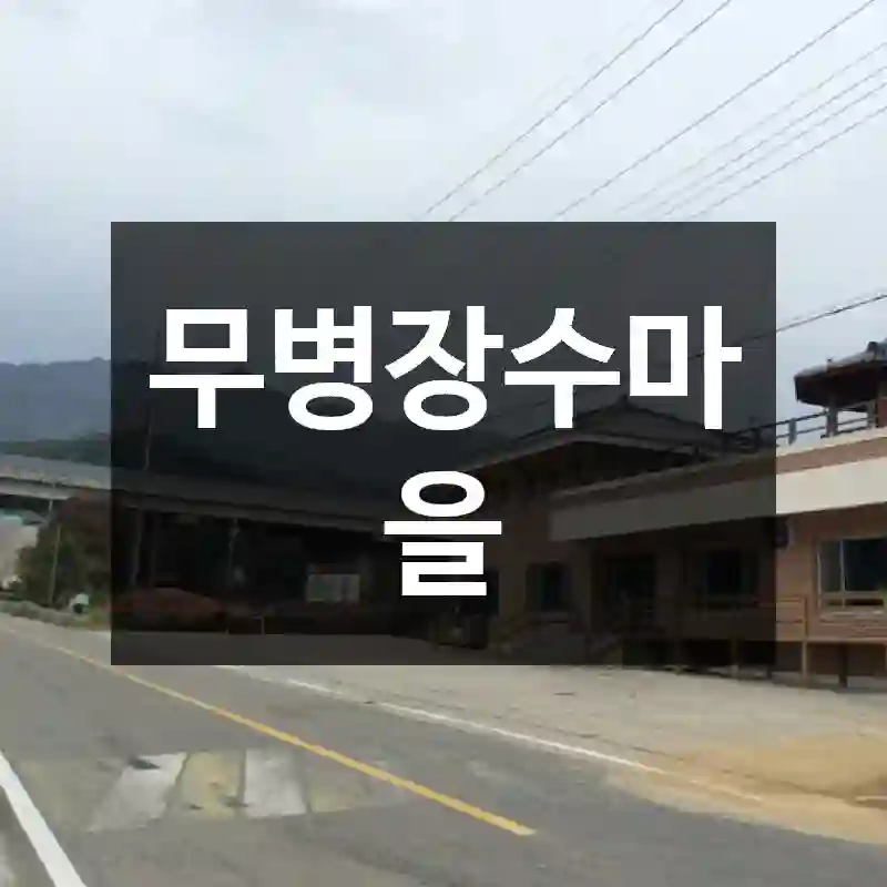 무병장수마을