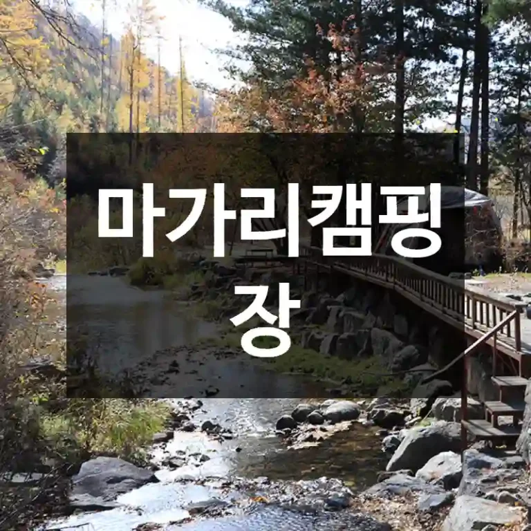 마가리캠핑장