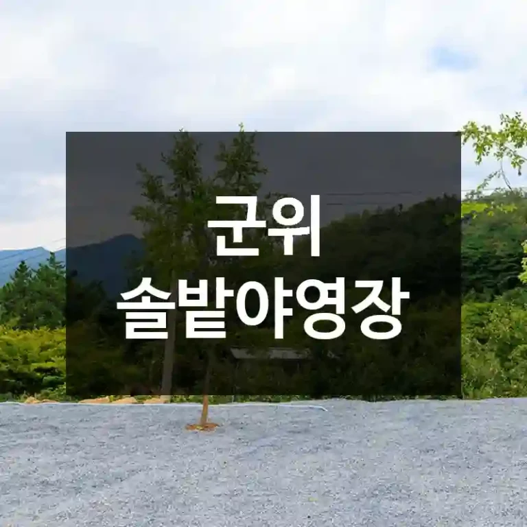 군위 솔밭야영장