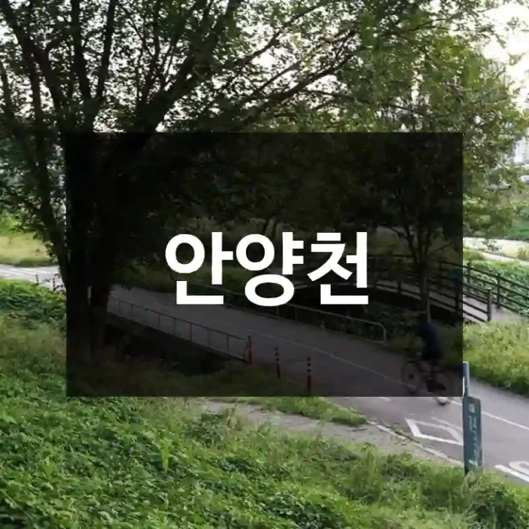 안양천