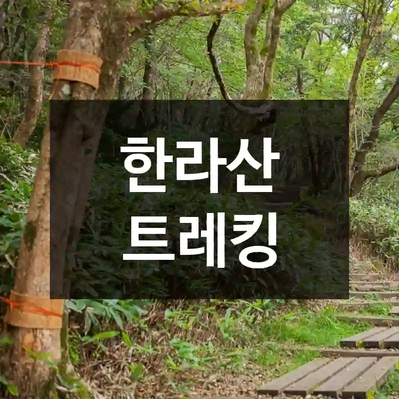 한라산 트레킹