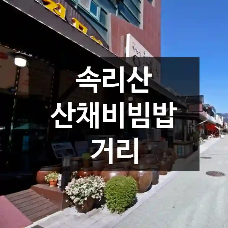 속리산 산채비빔밥 거리