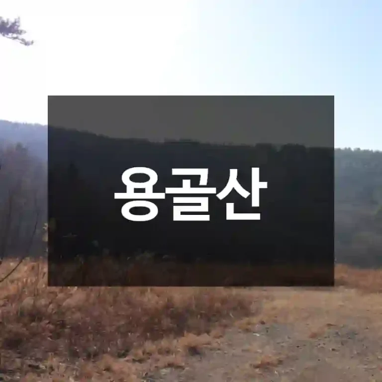 용골산