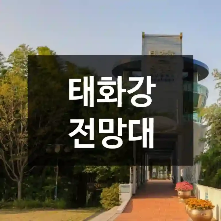 태화강 전망대