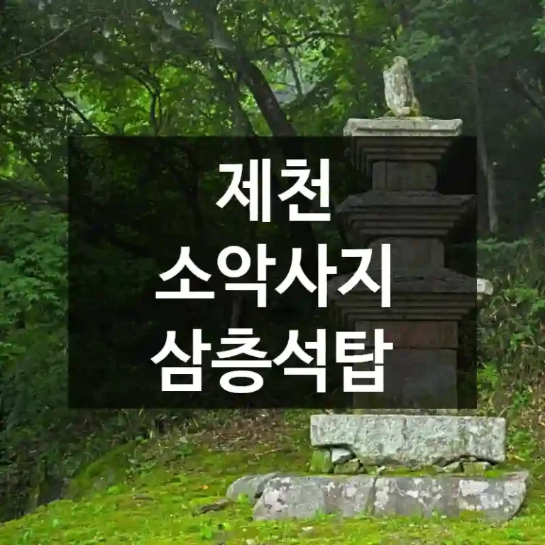 제천 소악사지 삼층석탑