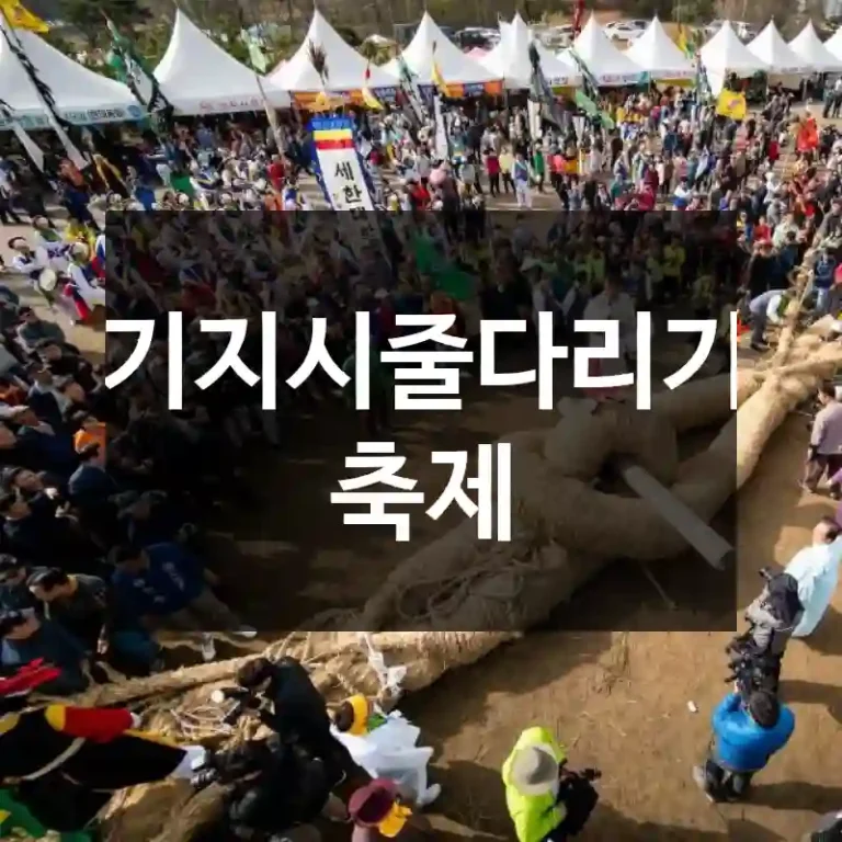 기지시줄다리기 축제