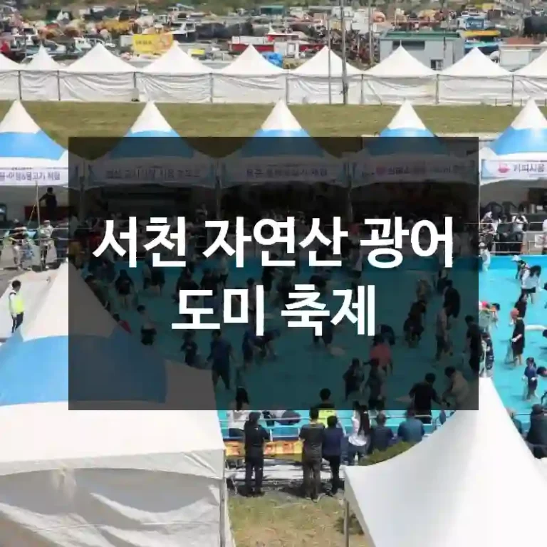 서천 자연산 광어 도미 축제