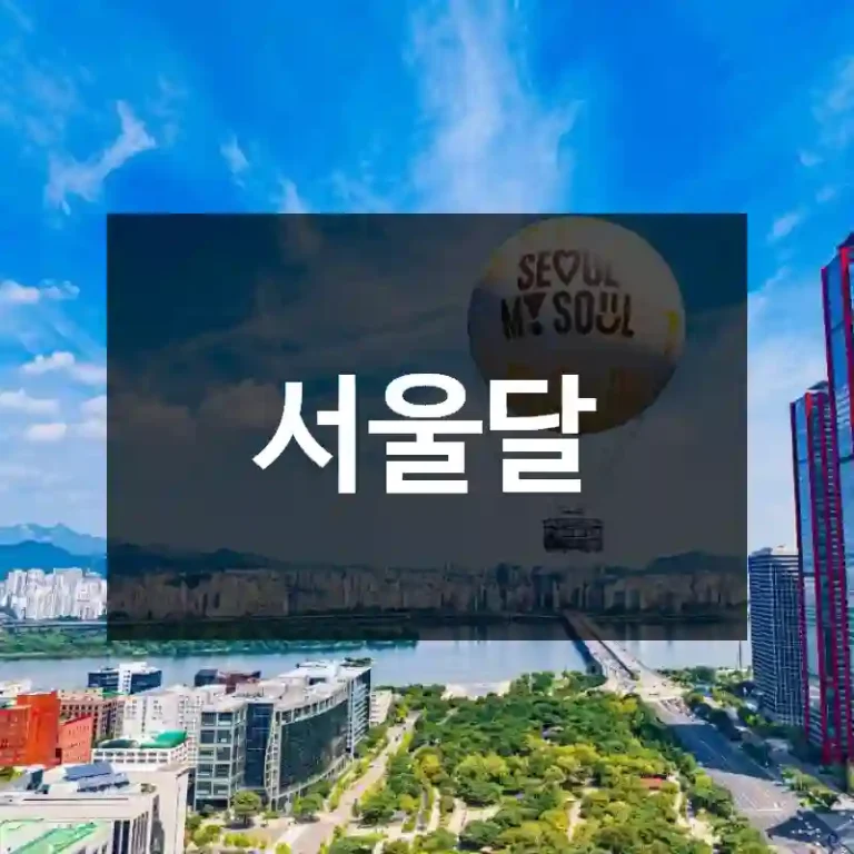 서울달
