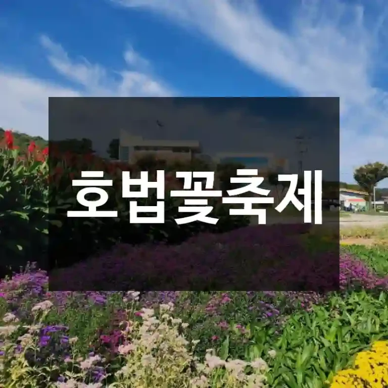 호법꽃축제