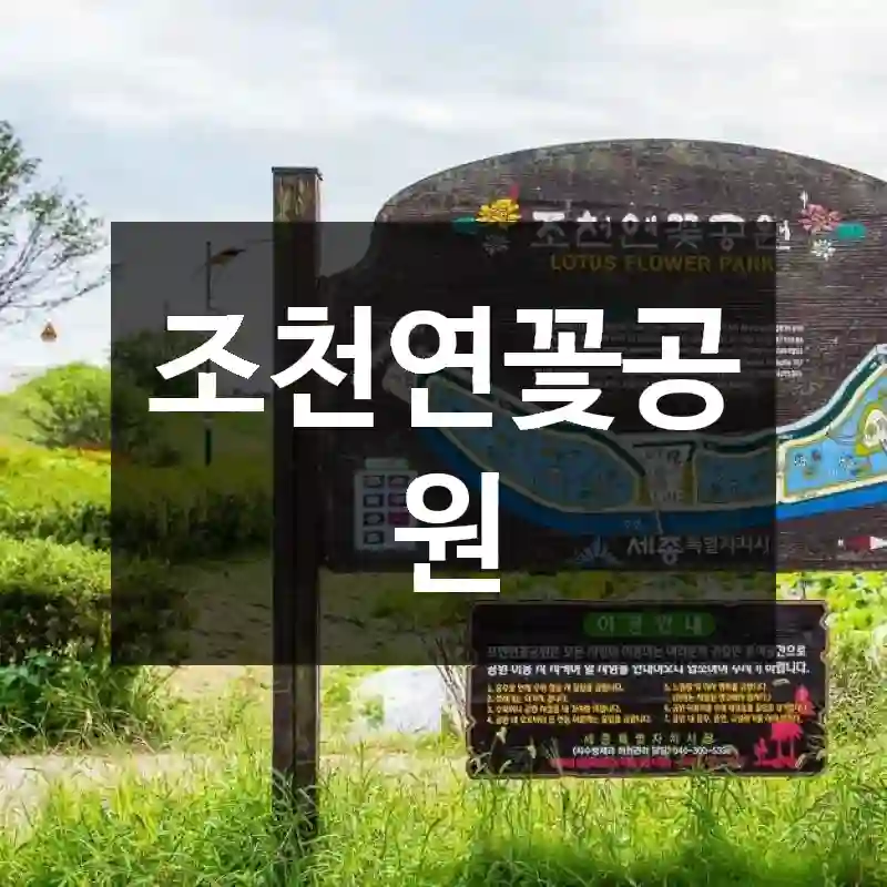 조천연꽃공원