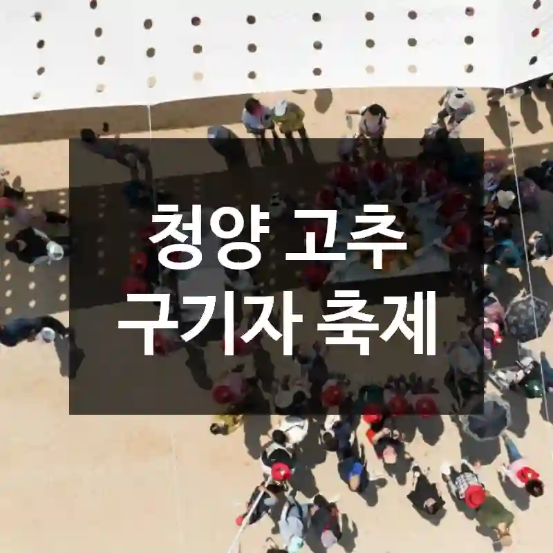 청양 고추 구기자 축제