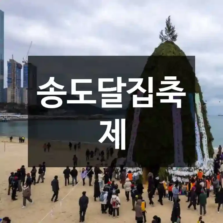 송도달집축제