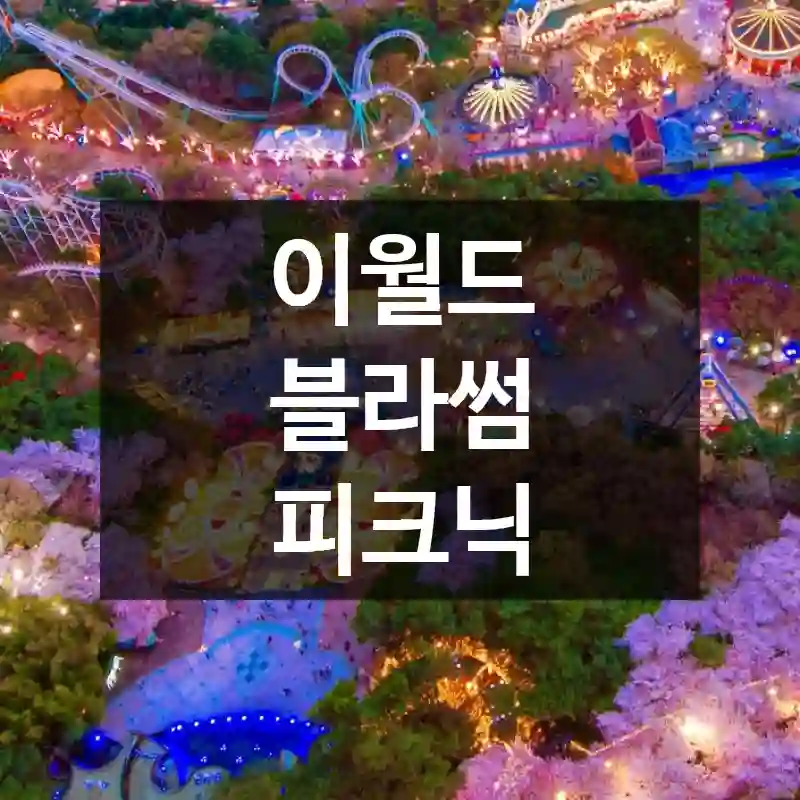 이월드 블라썸 피크닉