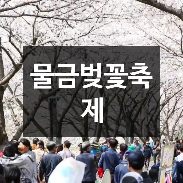 물금벚꽃축제