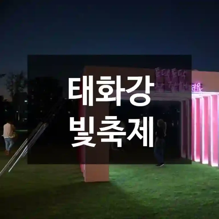 태화강 빛축제