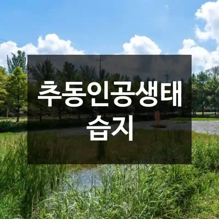 추동인공생태습지