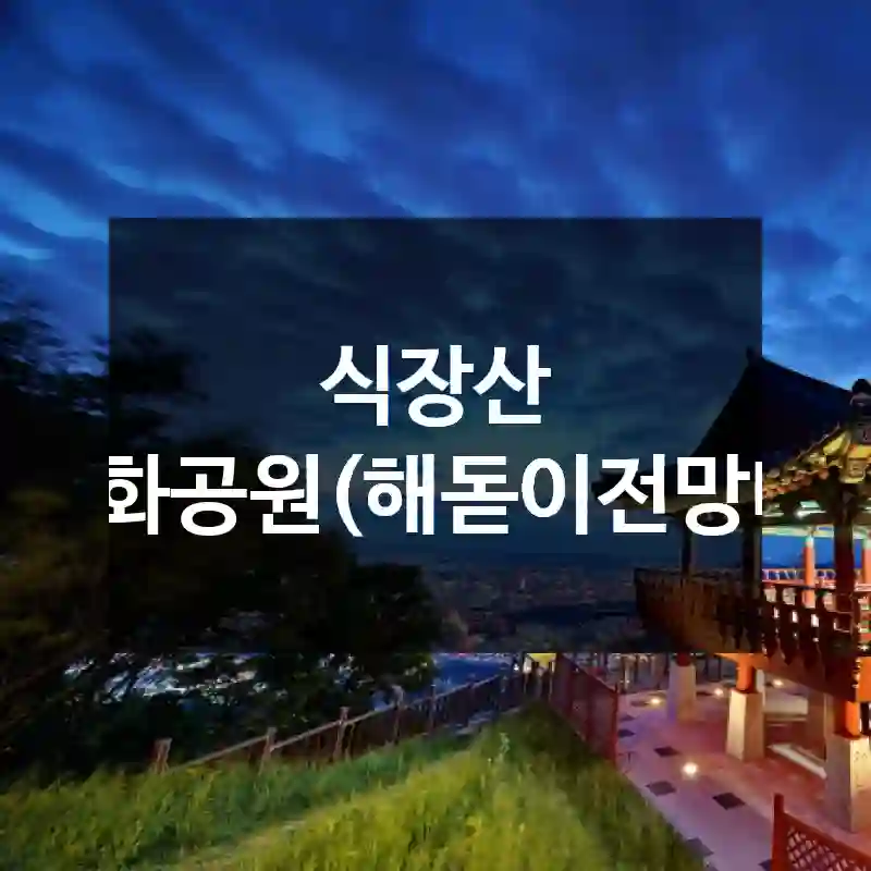 식장산 문화공원(해돋이전망대)