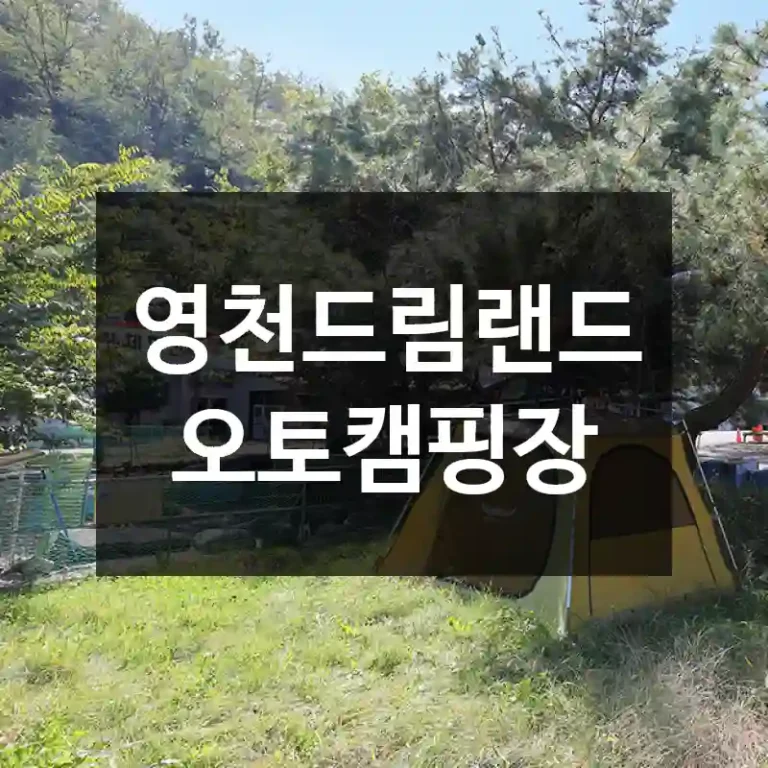 영천드림랜드오토캠핑장
