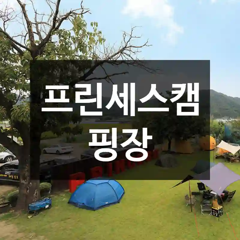 프린세스캠핑장