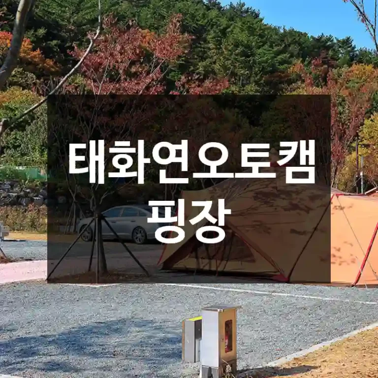 태화연오토캠핑장