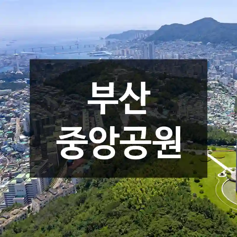 부산 중앙공원