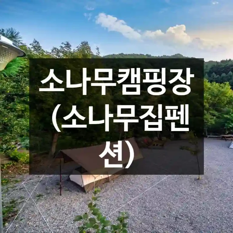소나무캠핑장(소나무집펜션)