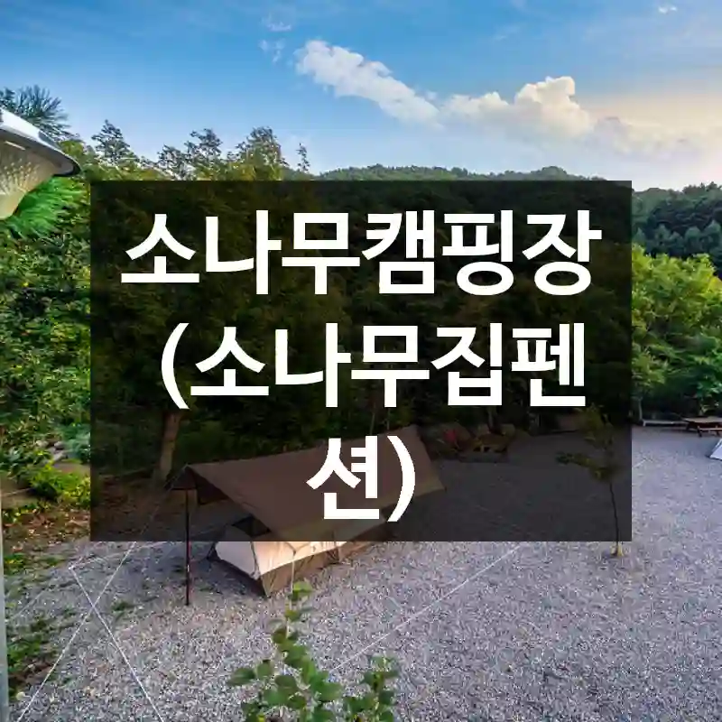 소나무캠핑장(소나무집펜션)