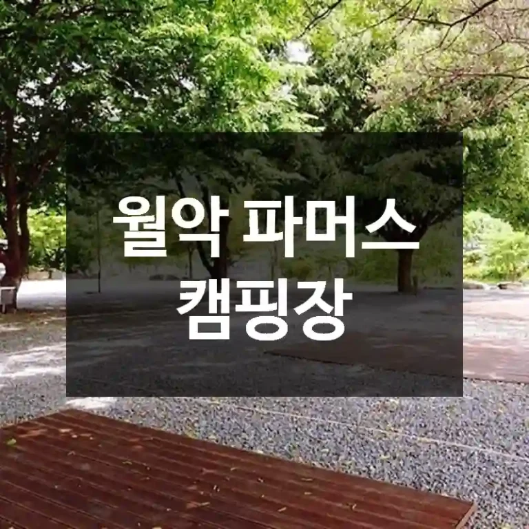 월악 파머스 캠핑장