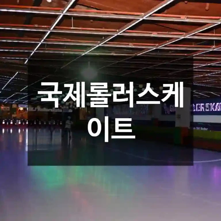 국제롤러스케이트