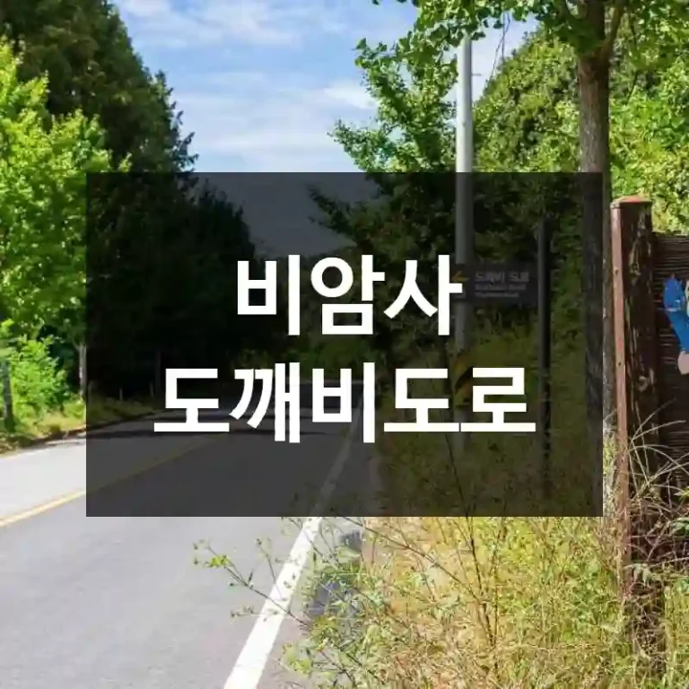 비암사 도깨비도로