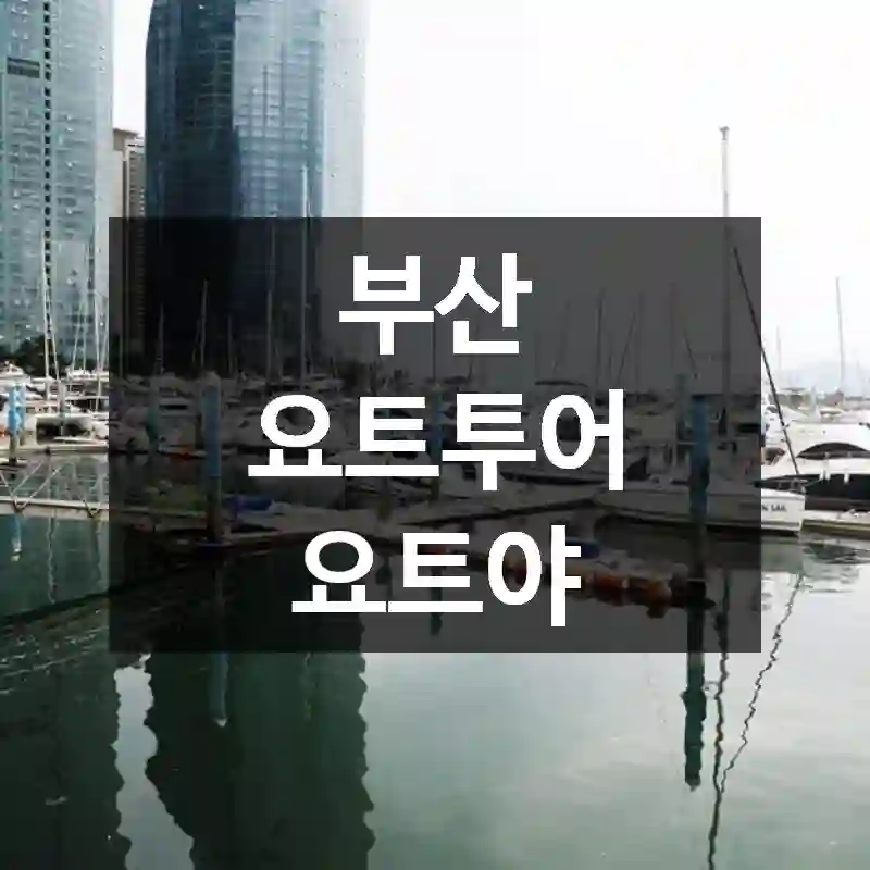 부산 요트투어 요트야