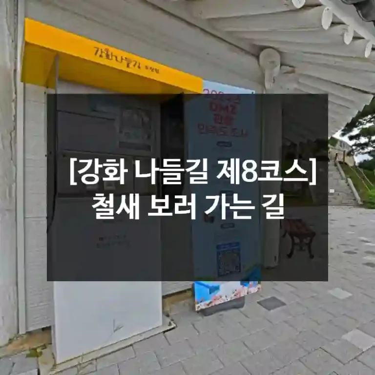 [강화 나들길 제8코스] 철새 보러 가는 길