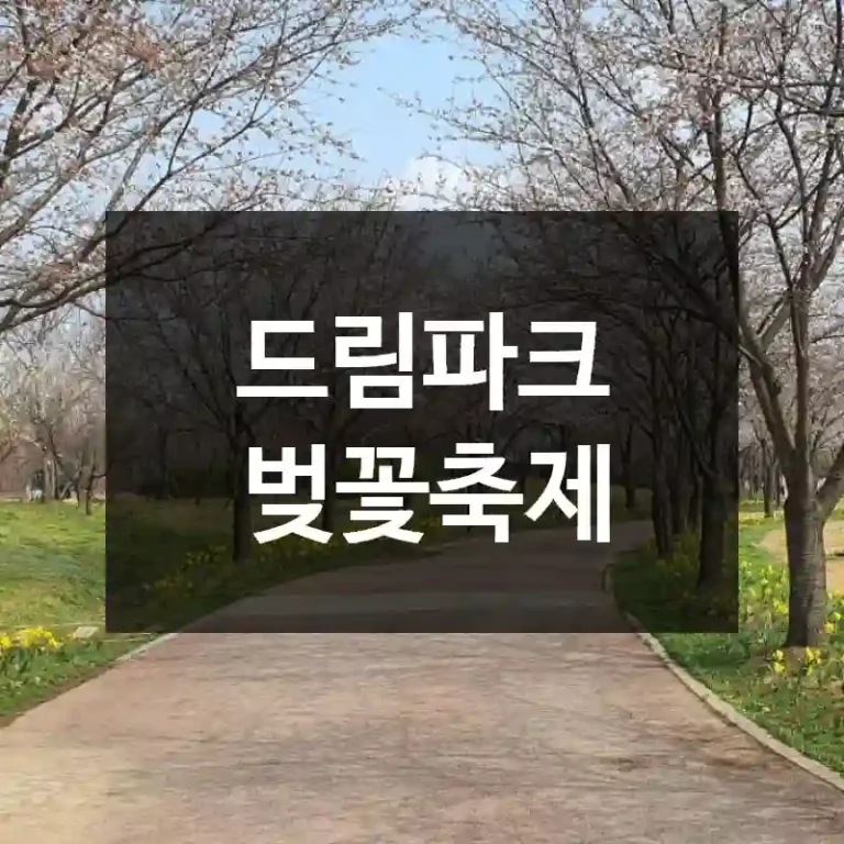 드림파크 벚꽃축제