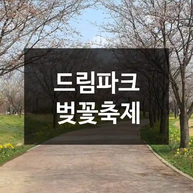 드림파크 벚꽃축제