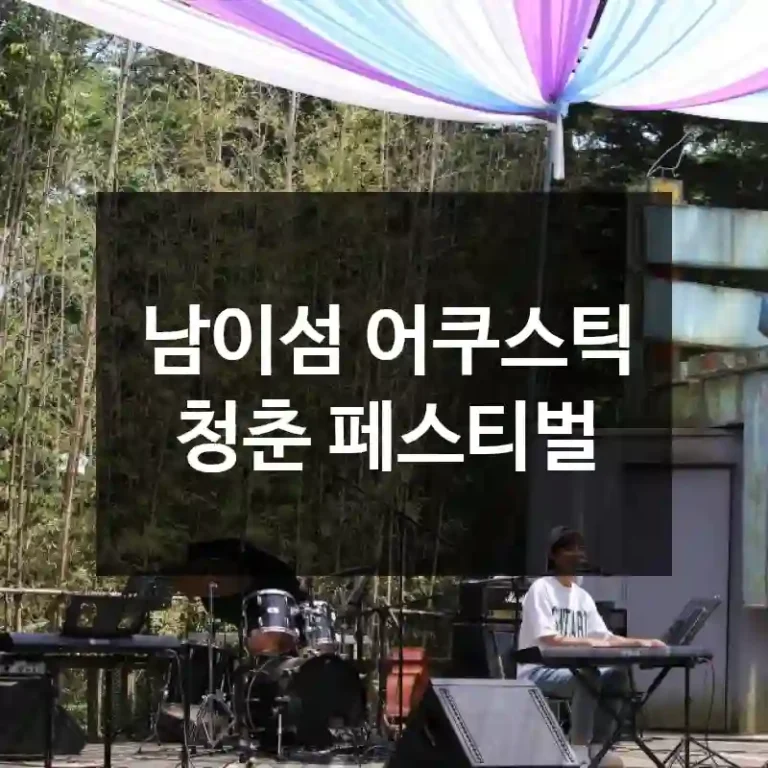 남이섬 어쿠스틱 청춘 페스티벌