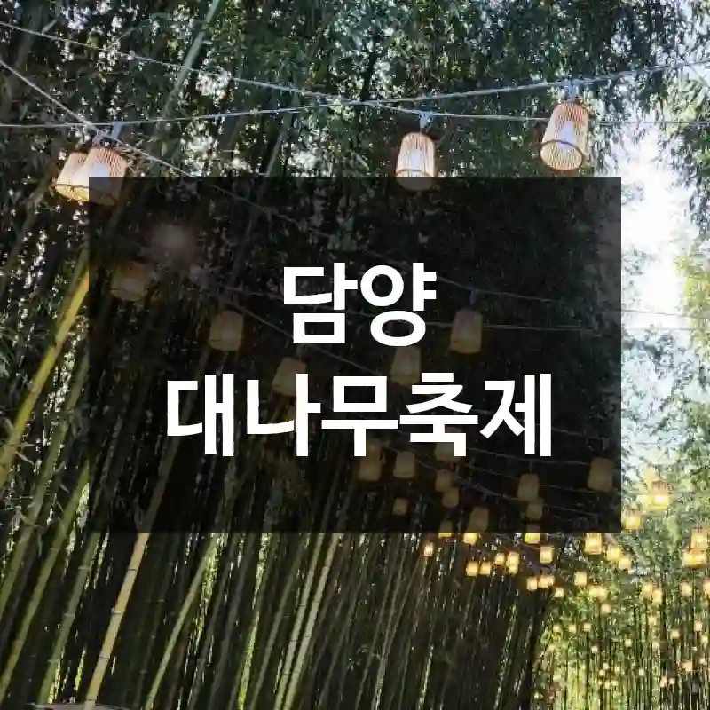 담양 대나무축제