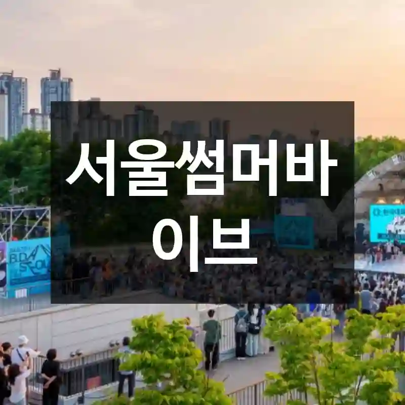 서울썸머바이브