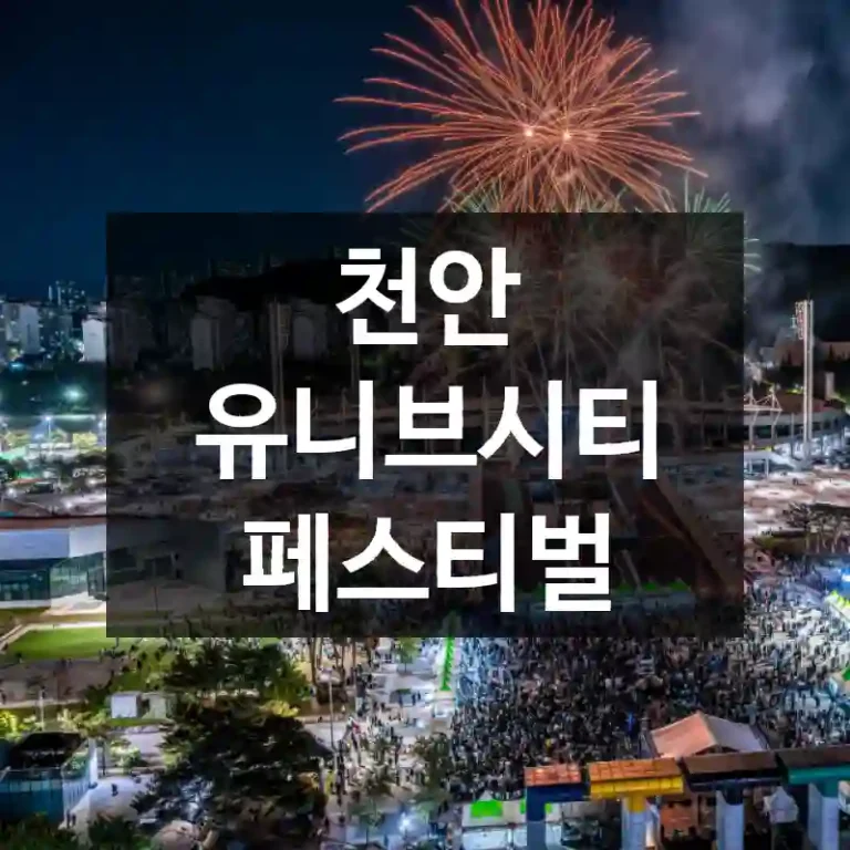 천안 유니브시티 페스티벌