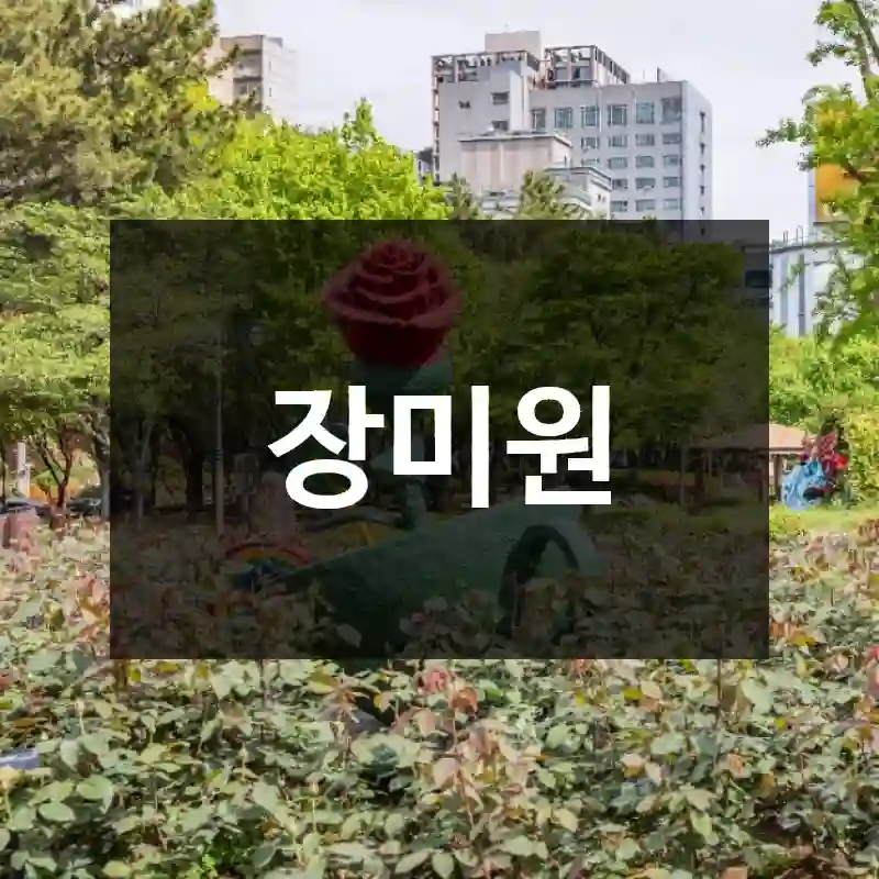 장미원