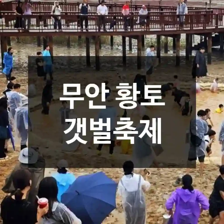 무안 황토 갯벌축제