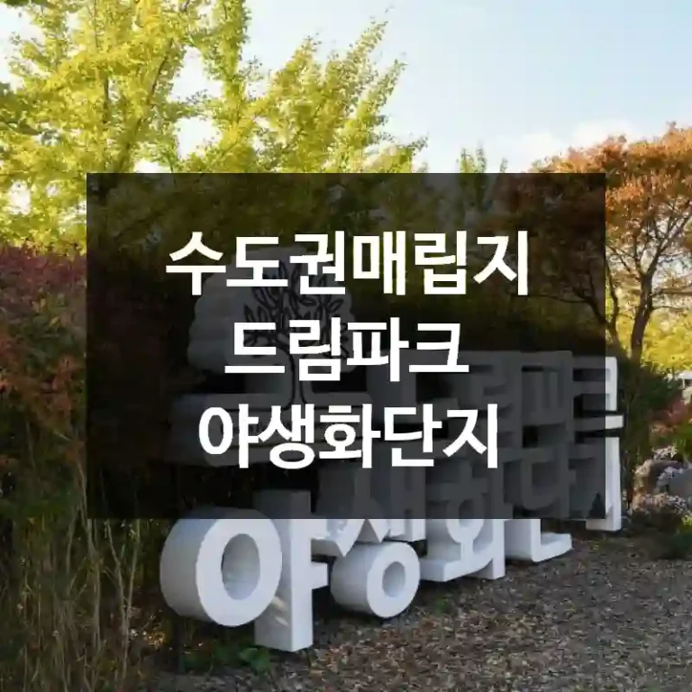 수도권매립지 드림파크 야생화단지