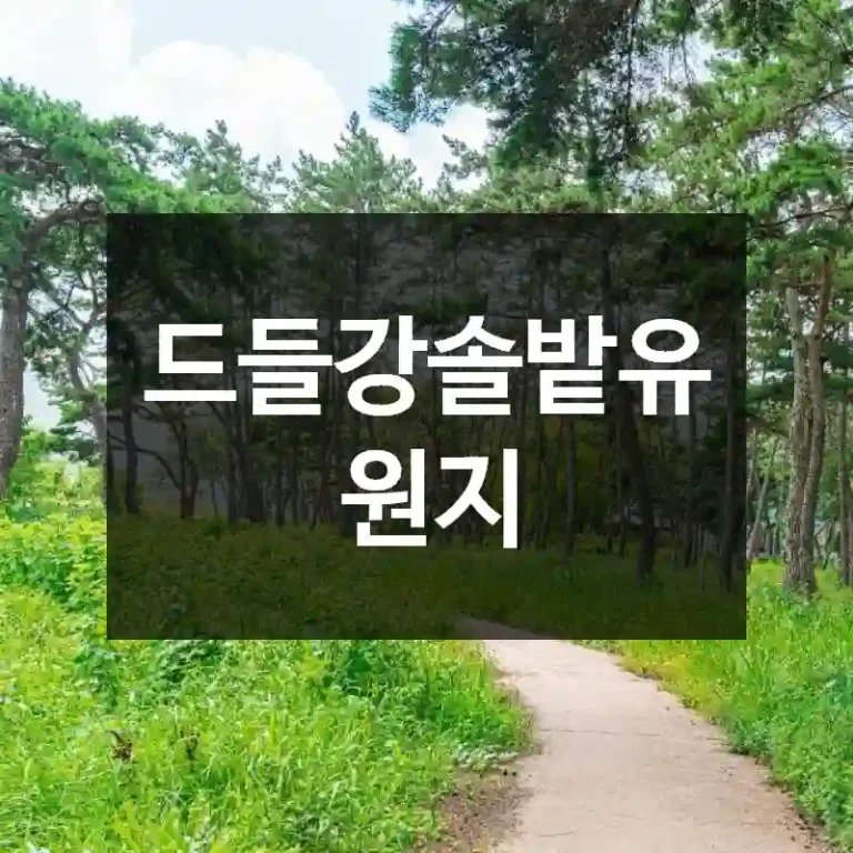 드들강솔밭유원지