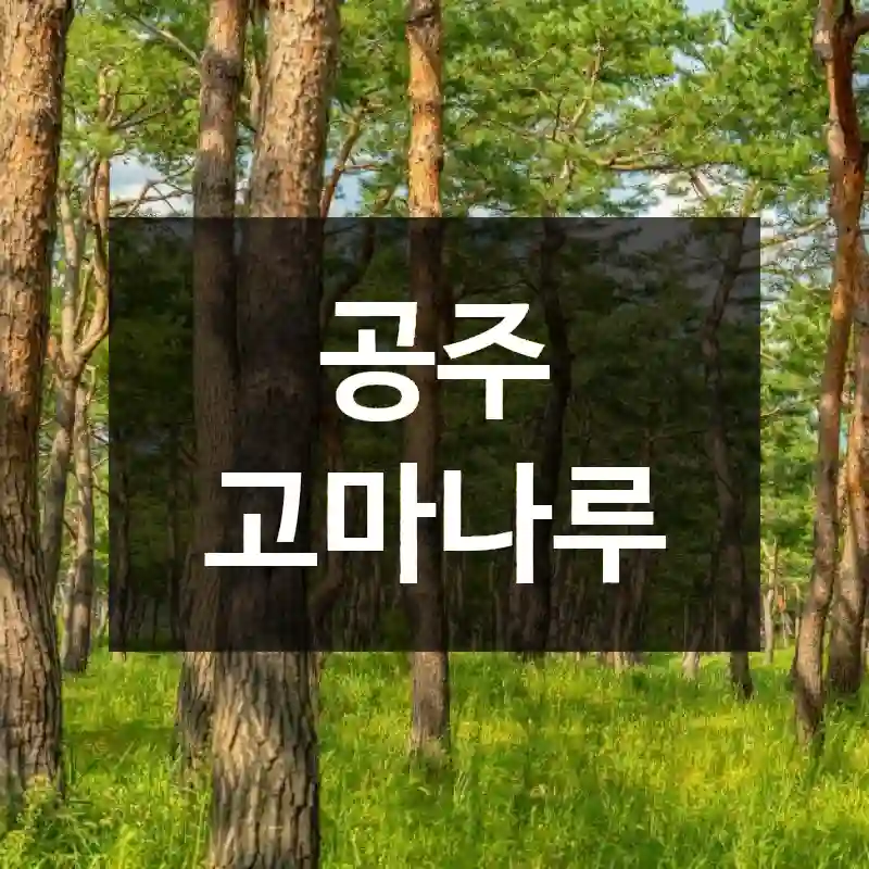 공주 고마나루